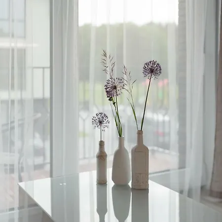 Gerves Apartamentai *