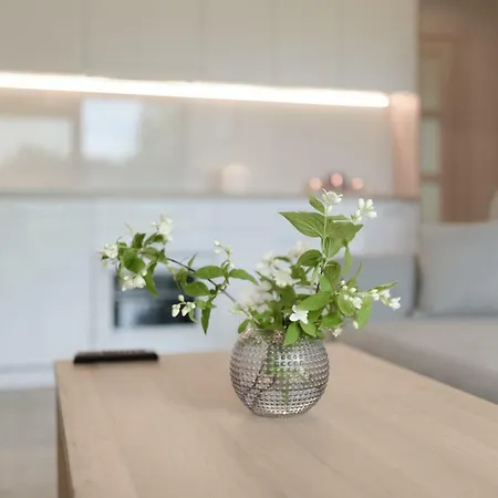 公寓 Gerves Apartamentai