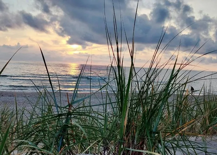 Gerves Apartamentai * Palanga