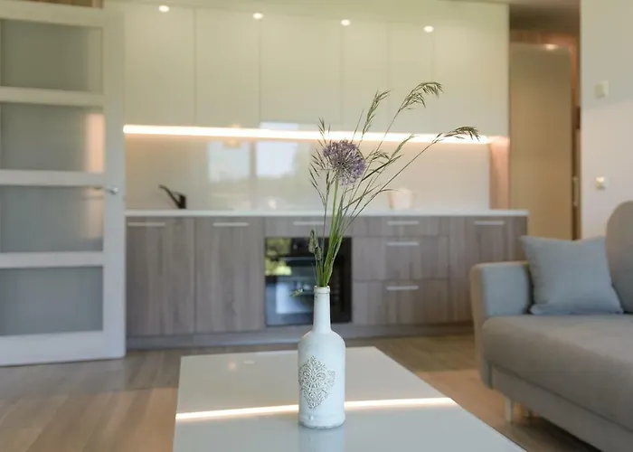 Gerves Apartamentai 公寓